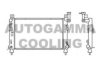 AUTOGAMMA 100141 Radiator, engine cooling